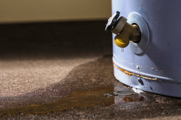 Best Commercial water damage restoration  in Thermal, CA