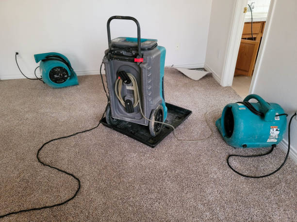 Best Water damage restoration specialists  in Thermal, CA