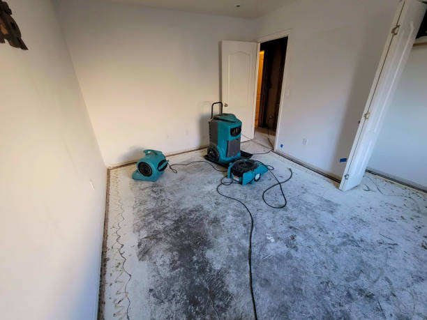 Best Emergency water damage restoration  in Thermal, CA