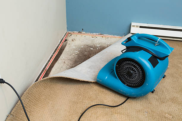 Best Professional water damage repair  in Thermal, CA
